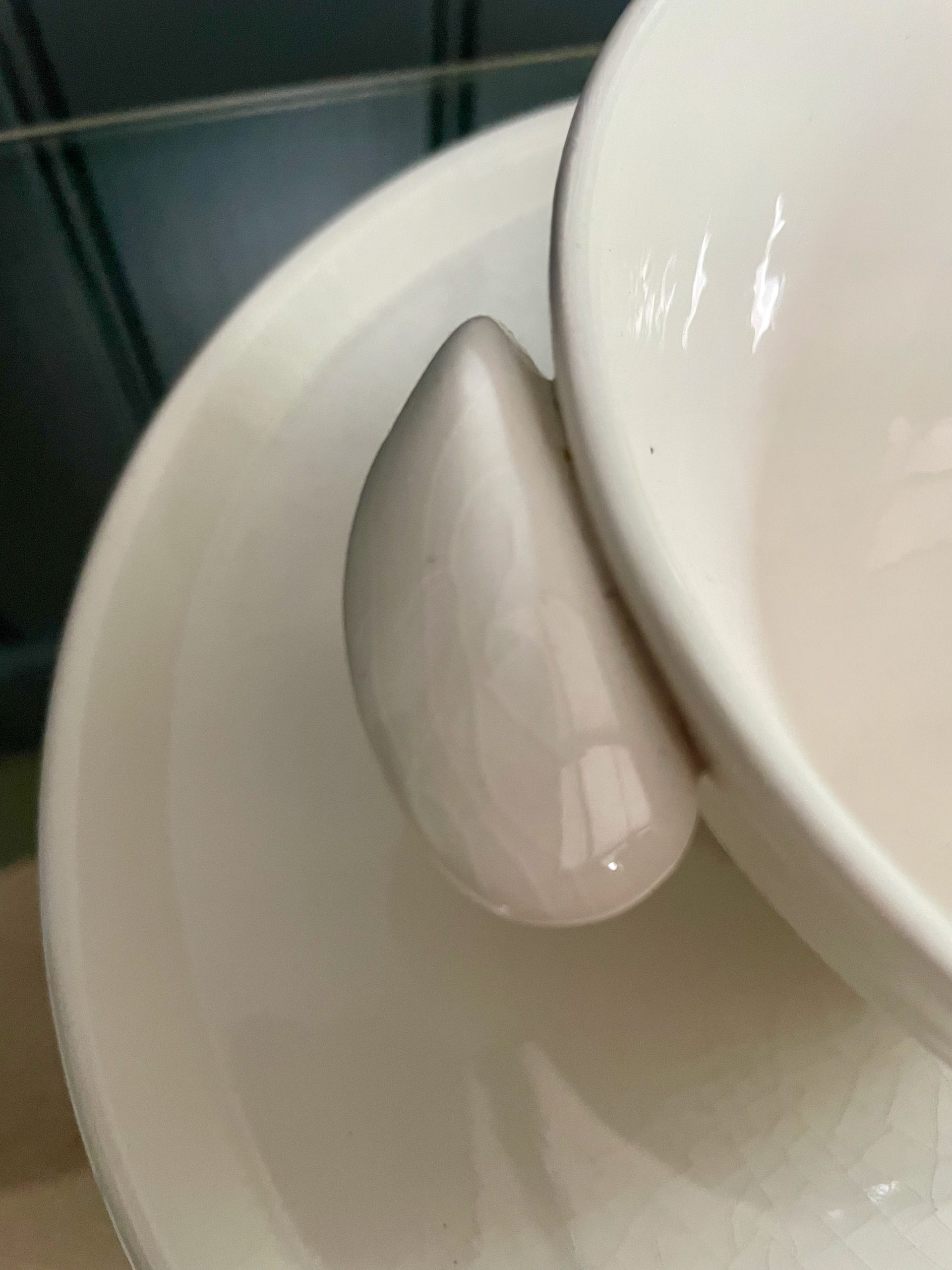 Mussel bowls Mussel bowls