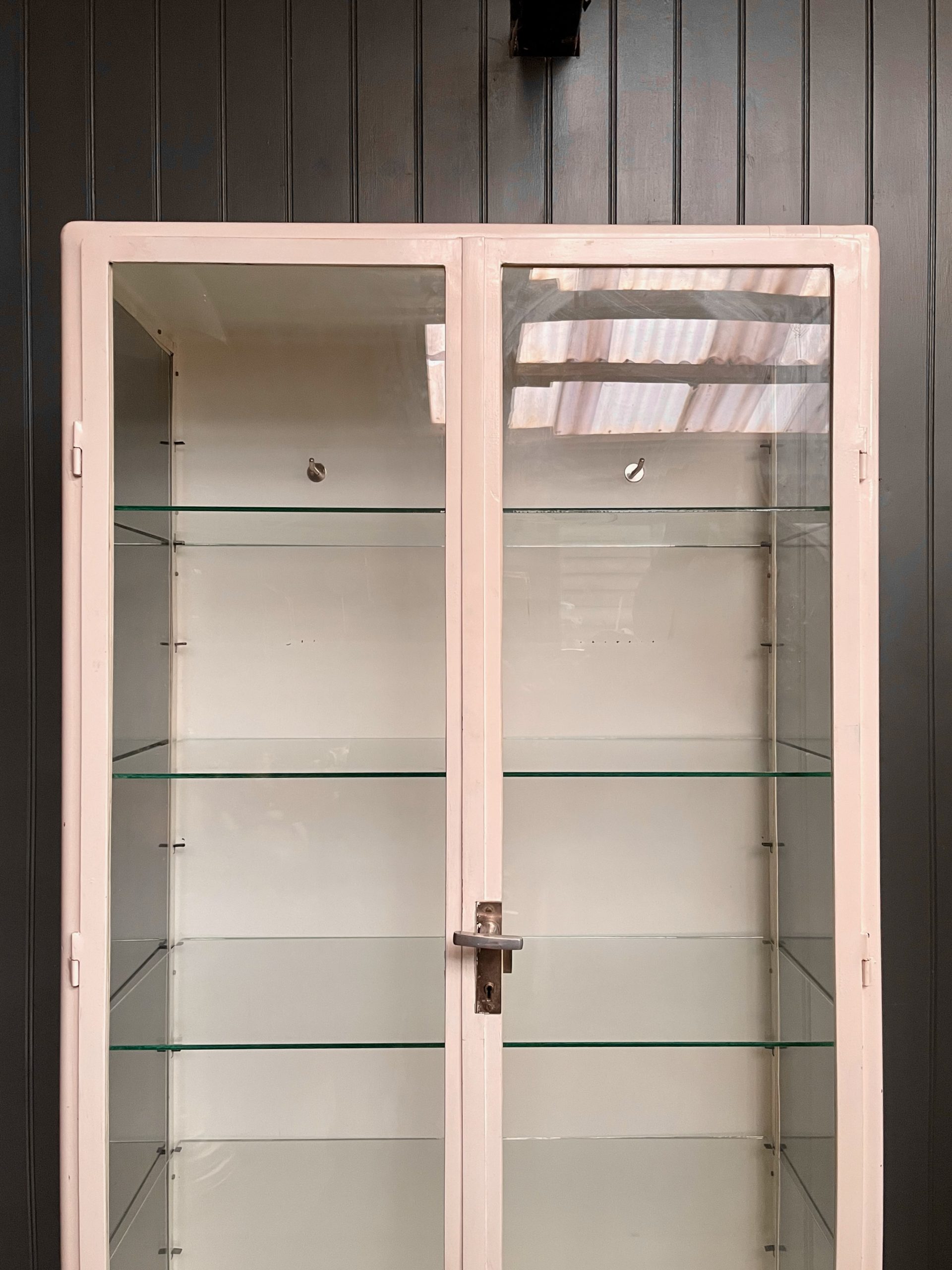 Glazed medical cabinet