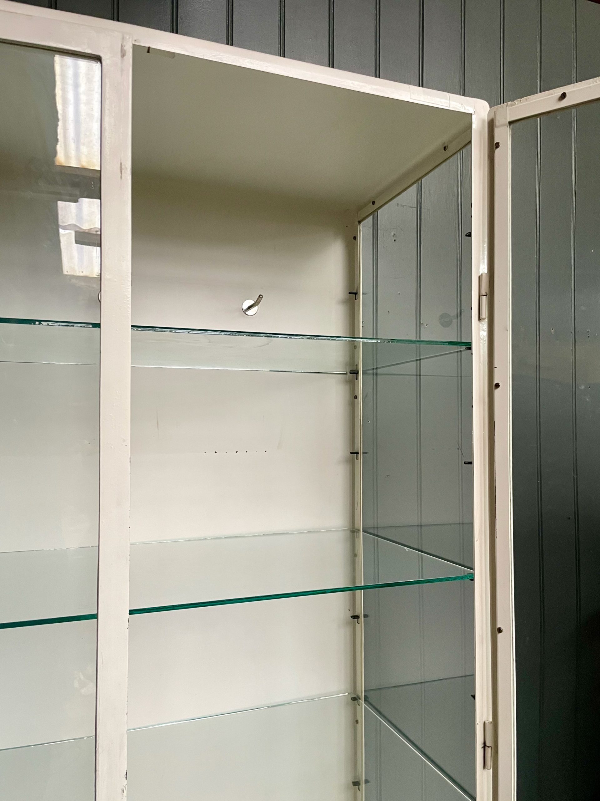 Glazed medical cabinet